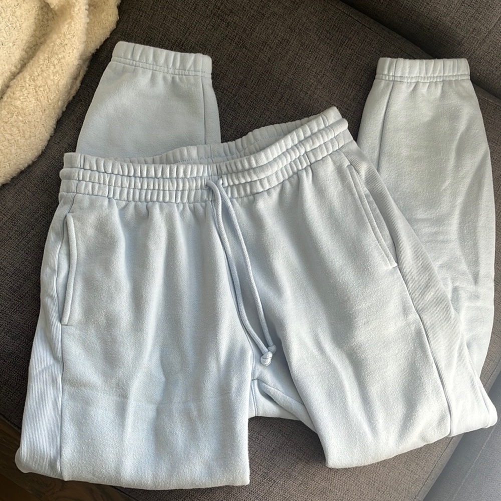Aritzia sweat pants